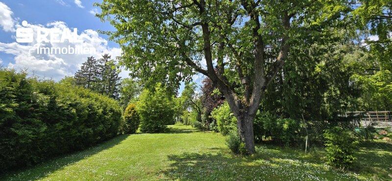 Garten 1