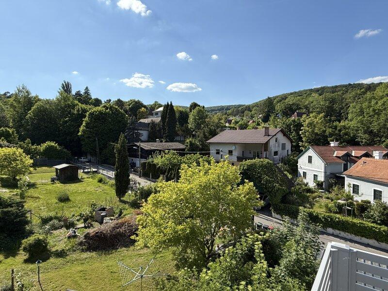 Ausblick bers Tal