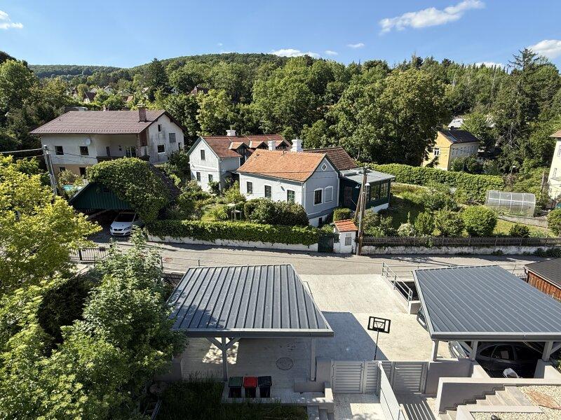 Ausblick von der Terrasse