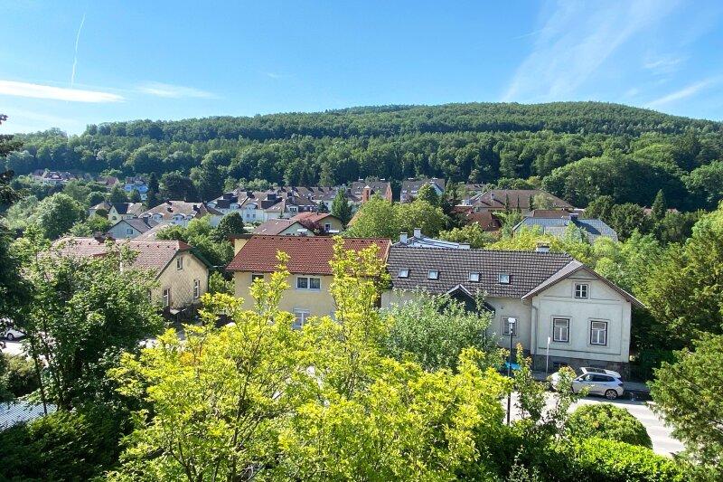 Ausblick vom Dachgescho nach Sden