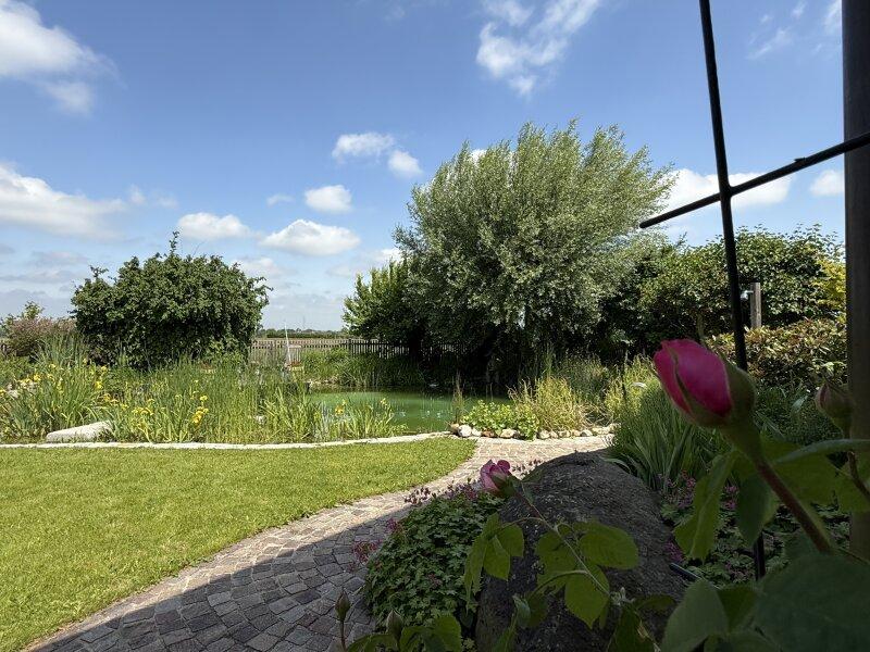 Ausblick auf den Garten