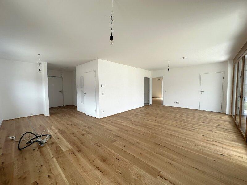 Wohnzimmer / Kche