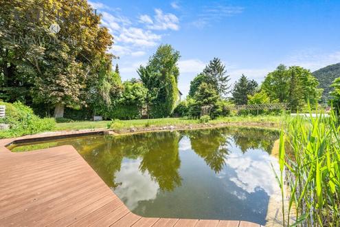 Modernisierte Jugendstil-Villa mit Schwimmteich - perfekt fr groe Familie oder Generationenwohnen