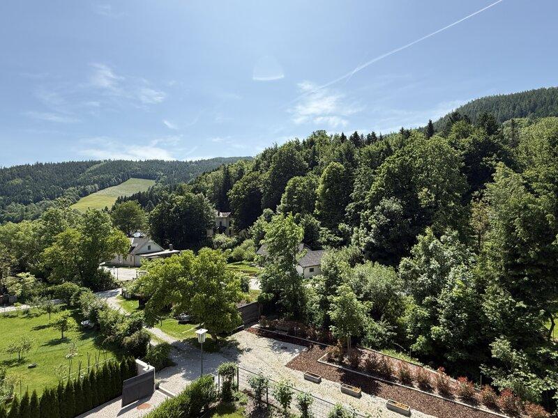 Ausblick vom Balkon