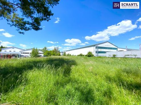 IHRE CHANCE: Betriebsgrundstck I TOP-Lage I Flughafen + Wien-Nhe I Ideal geschnitten I Wertsteigerungspotential!