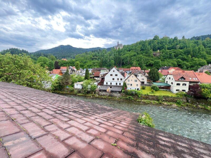 Blick auf die Mur