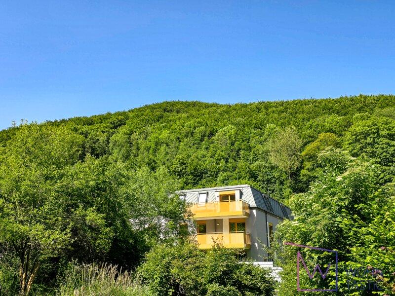 Inmitten des geschtzten Biosprenparks Wienerwald