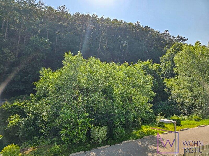 Blick vom eigenen Balkon