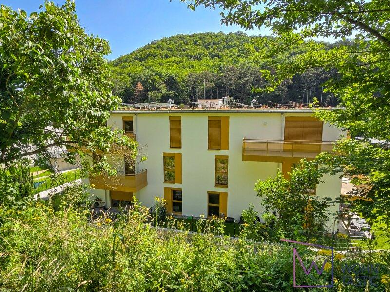 Moderne Wohnhausanlage mit PV-Anlage und Luft-Wrme-Pumpe