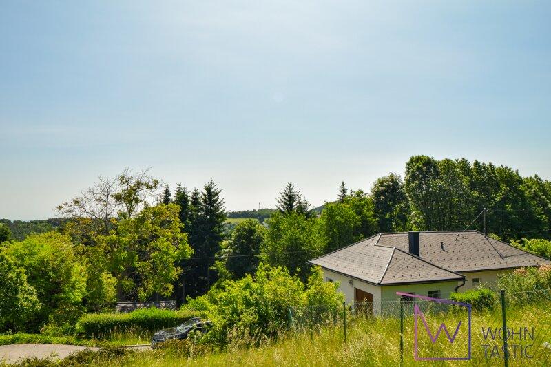 Blick zum Haus mit Waldgrundstck