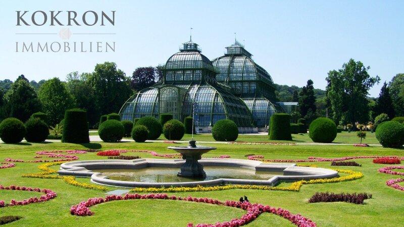 Umgebung: das Palmenhaus, Foto von Pixabay