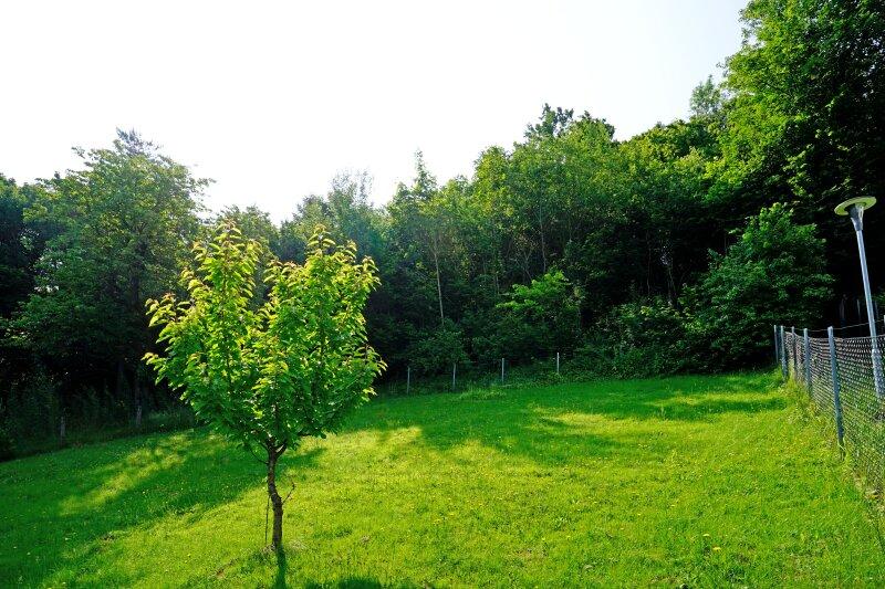 Blick ber das sdliche Grundstck