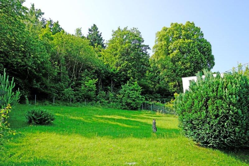 Blick auf das sdliche Grundstck