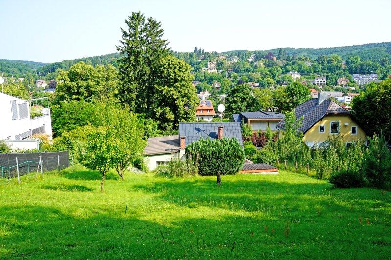 Blick von der sdlichen Grundgrenze und Ausblick zur Tullner