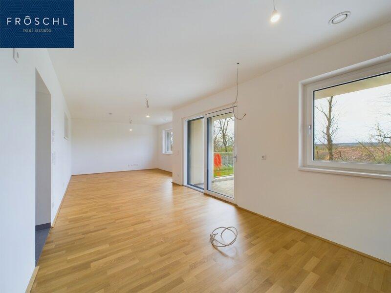 Kchenbereich mit Blick ins Wohnzimmer u. Terrassenausgang
