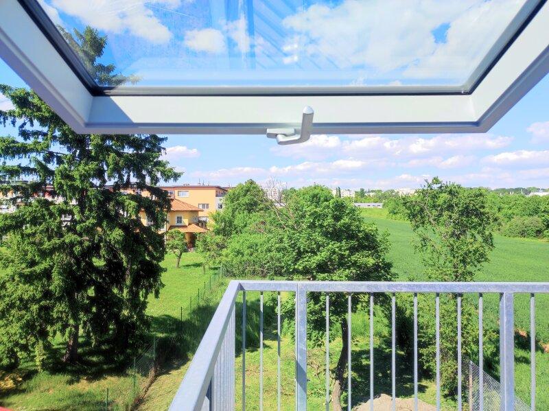 Ausblick
