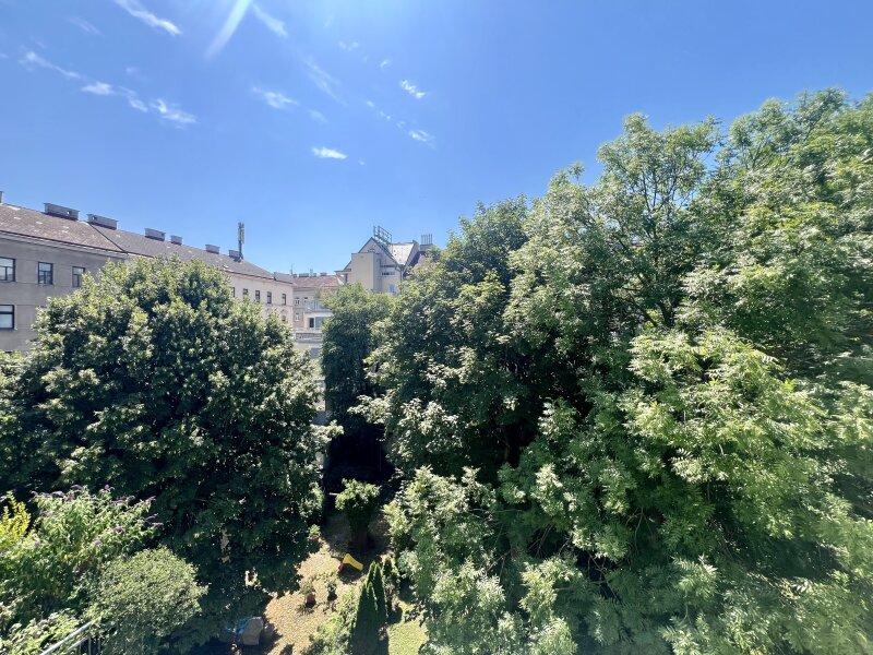 Grnblick