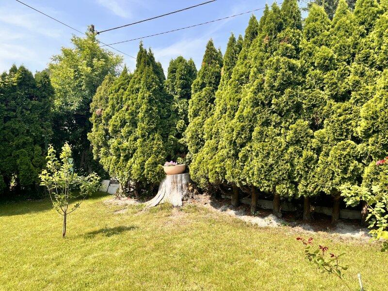 Gartenblick