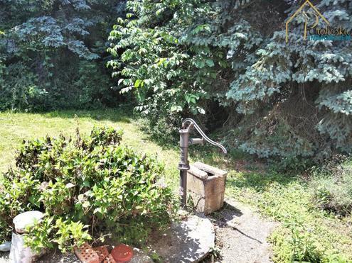 Bungalow in Kobersdorf: 5 Zimmer, Terrasse und viel Gr�n