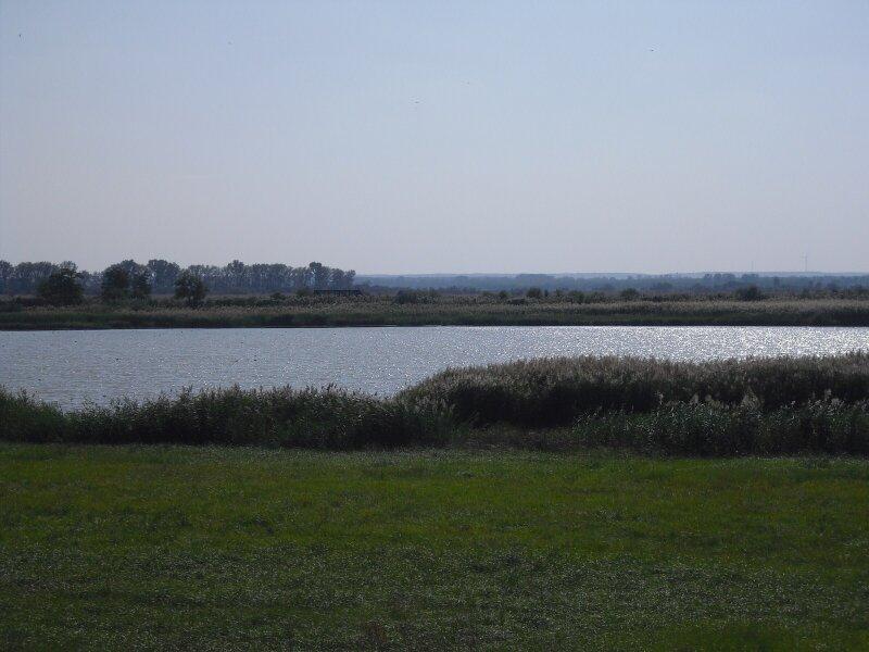 Umfeld