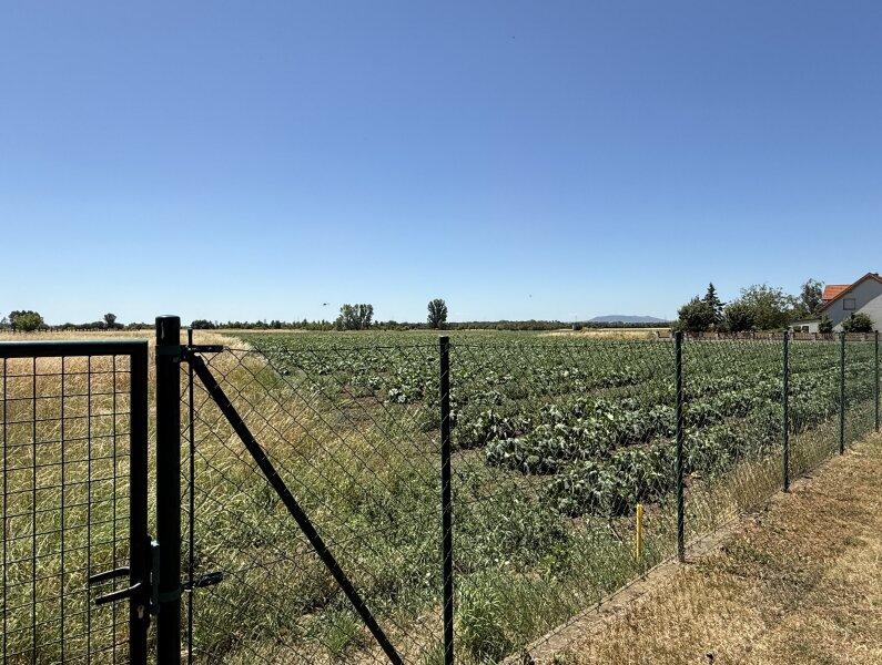 Ausblick vom Garten