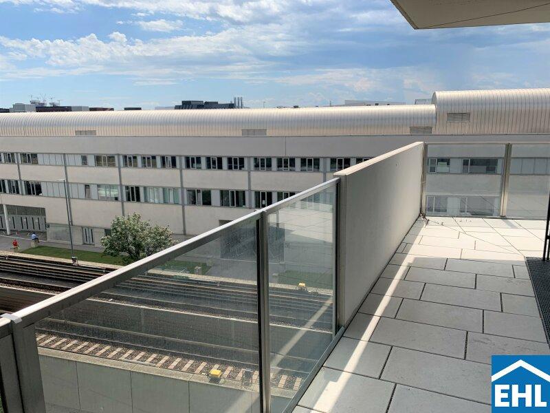 Musterloggia 1.1
