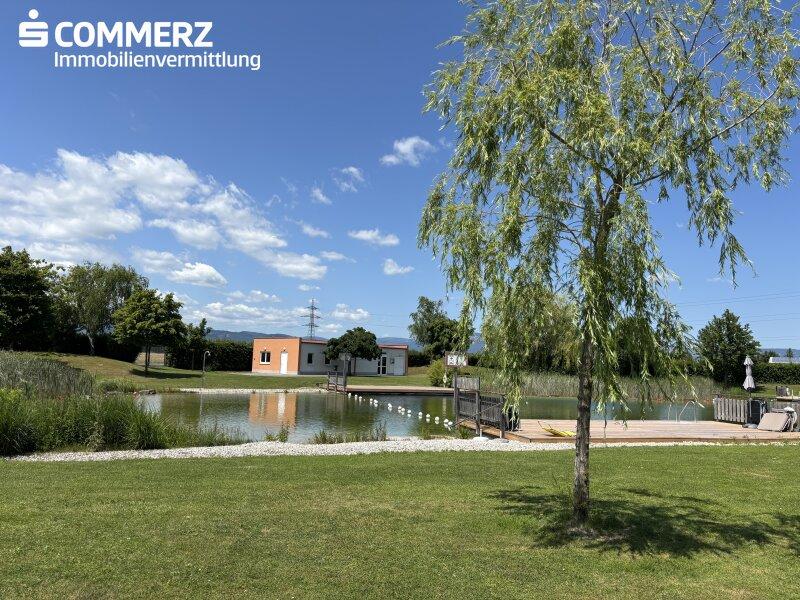 Schwimmteich