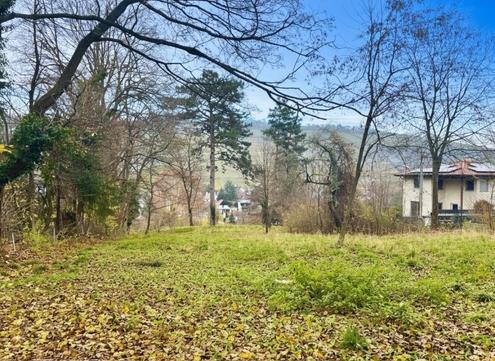 Platz f�r ein Einfamilien- oder Doppelhaus - Eigengrund am �dberg in sonniger, gr�ner Umgebung