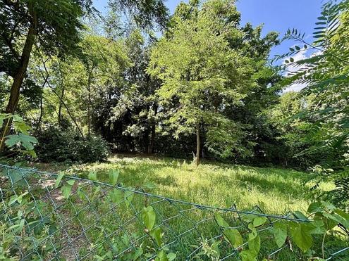 Platz fr ein Einfamilien- oder Doppelhaus - Eigengrund am dberg in sonniger, grner Umgebung