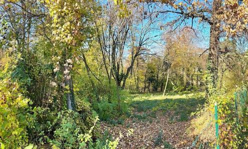 Aehnliche Immobilie - Vorschaubild 2