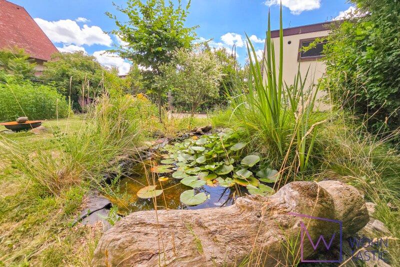 wunderbares Refugium