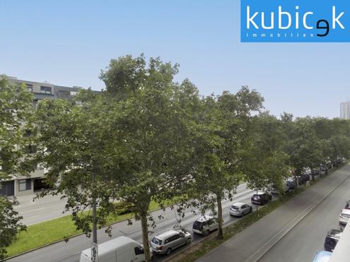 Klimatisierte Nichtraucherwohnung - Nähe Alte Donau/Uno City