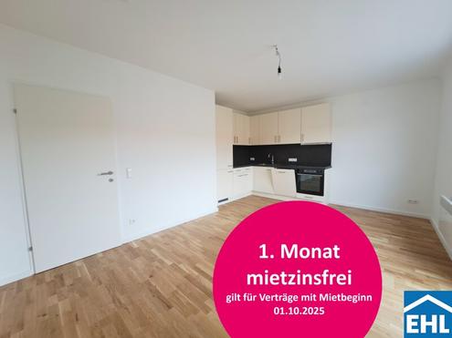 3 Zimmerwohnung mit Terrasse Nähe Votivkirche - Schottentor