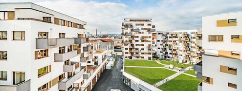 3-Zimmer-Neubauwohnung inkl. Komplettkche, Balkon und Kellerabteil/ SP64 Top 6-41