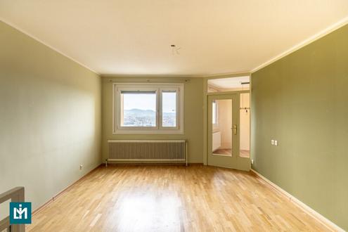 SCHÖNE 3 - ZIMMER - MAISONETTE MIT LOGGIA / NÄHE DONAUZENTRUM (U1)