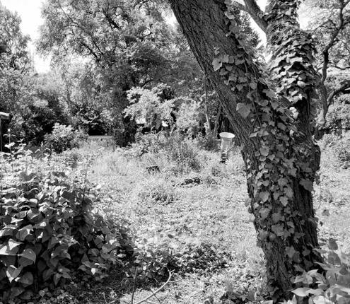 Schnes Grundstck in Ruhelage