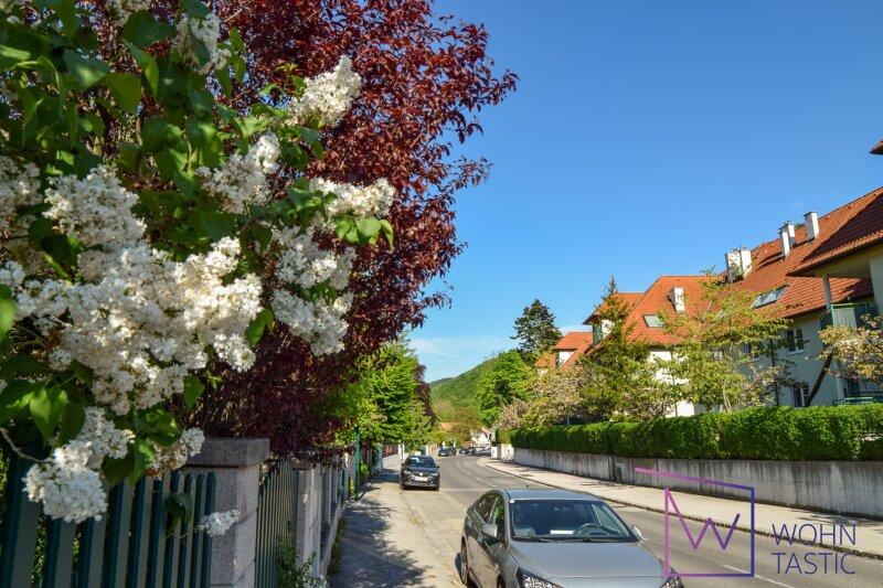 Umgebung