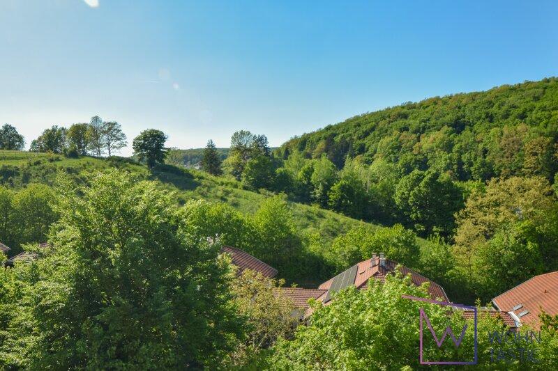 Ausblick