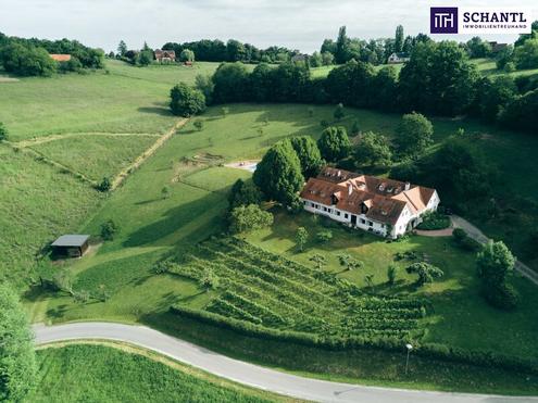 Historischer Vierkanthof in der Thermenregion Bad Loipersdorf - Wo Natur, Geschichte und Exklusivität aufeinandertreffen