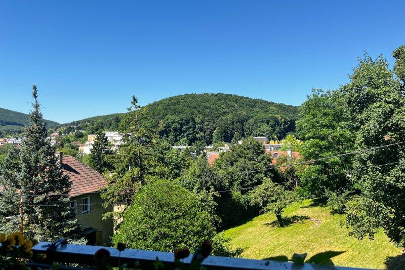 Loggia mit Grnblick