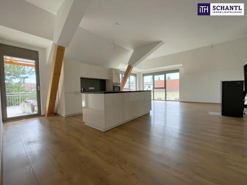 Grozgig. Hell. Ungestrt. Penthouse-Feeling mit riesigen Fensterfronten und 40 m groer Terrasse im Zentrum von Unterwaltersdorf!