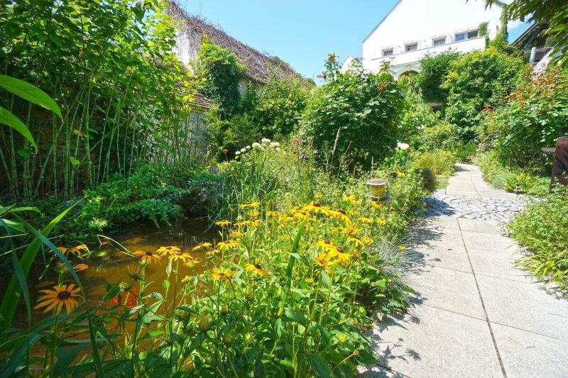 Garten_Biotop mit Goldfischen