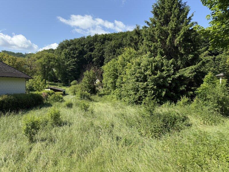 Richtung Wald