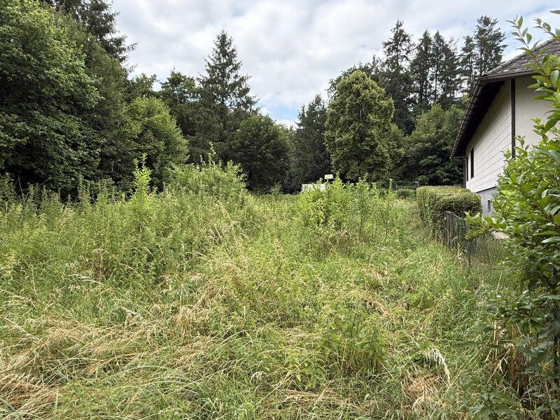 Vom Garten aus