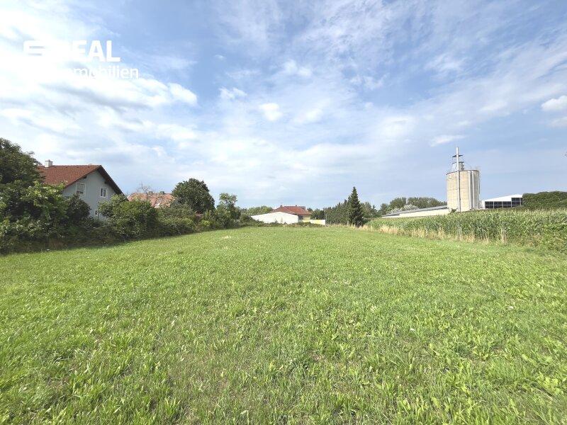 Ansicht 2