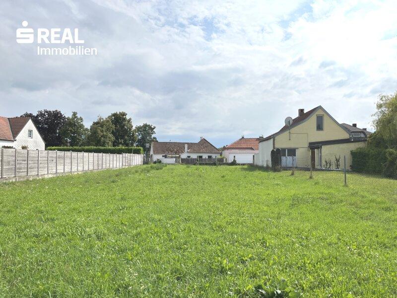 Ansicht 4
