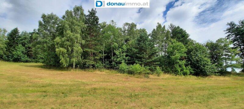Eigener Wald
