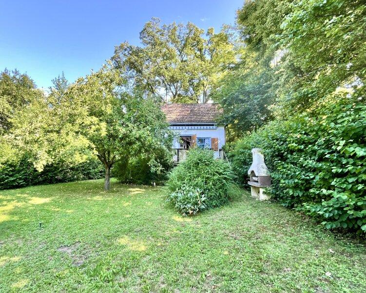 der Garten Richtung Sd