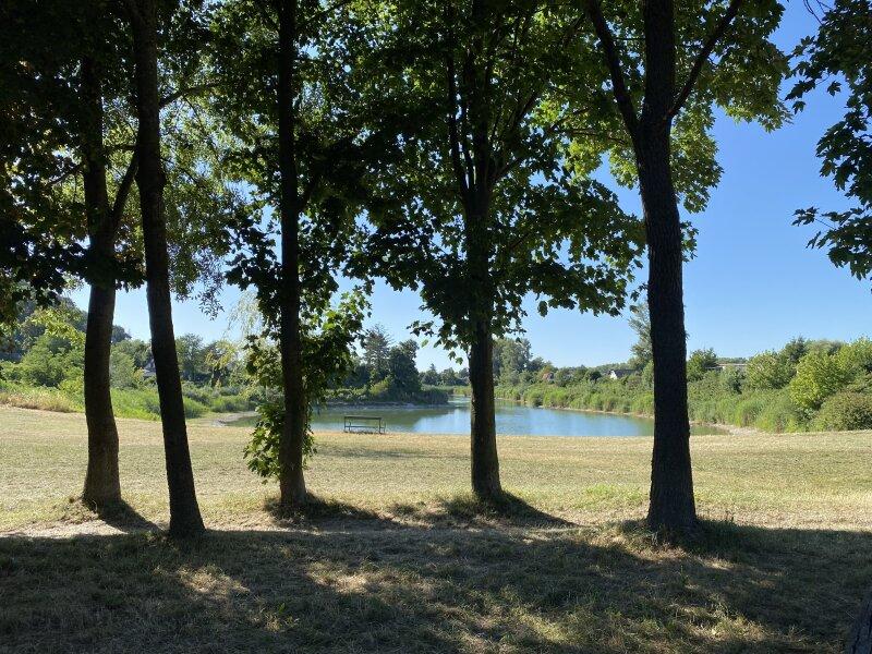 Liegewiese beim Silbersee