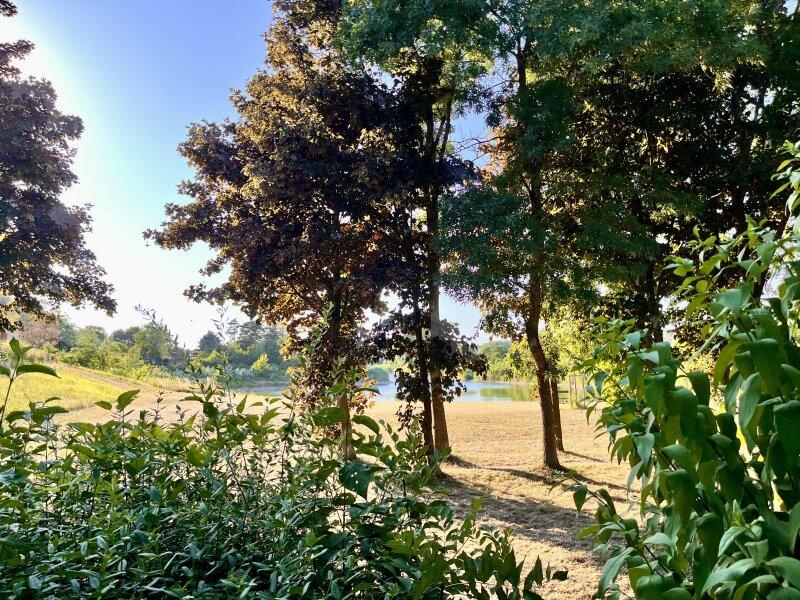 der schne Seeblick vom Garten
